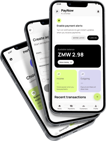 PayNow Business app preview